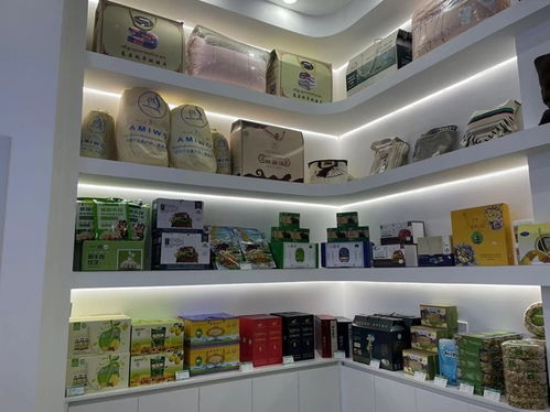 山海情深 数字赋能 滨海新区高质量续写东西协作新篇章